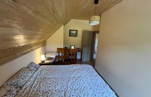 Górska Polana, Stronie Śląskie - Młynowiec - Foto 12