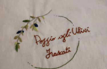 Poggio agli Ulivi vicolo di Colle Reti 22 Frascati - Foto 17