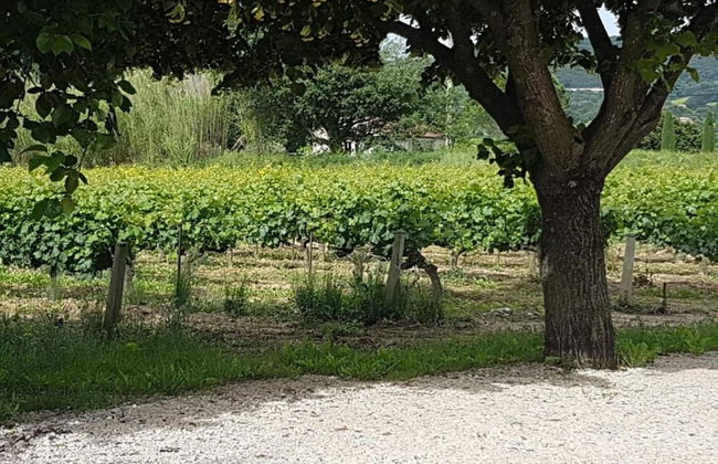 Holiday Home Vaison With Private Pool - Photo 41