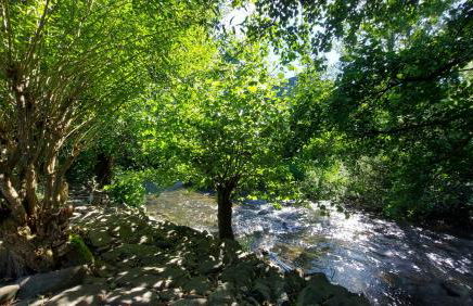 Maries bunte Villa - Foto 30