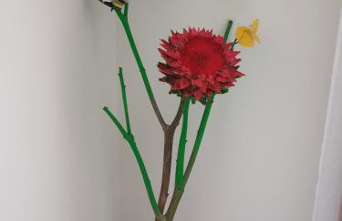 Kuća za odmor Žinžula - Foto 14