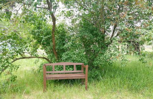 Ehemalige Bibliothek Apartment für 2 mit Küche Kamin Netflix Parken und Hofladen - Foto 45