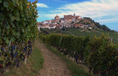 Agricola Domus - Photo 34