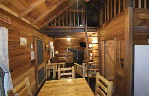 Multiple cabins at Cabin Fever - Foto 11