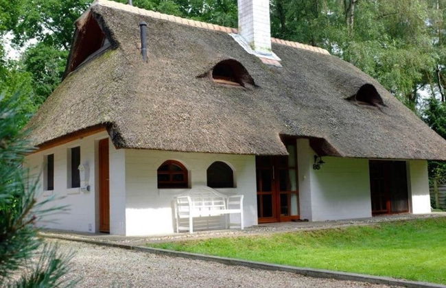 Ferienhaus Boschhuys - Foto 16