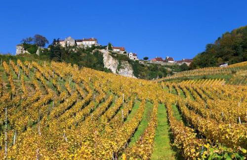 Studio Lilou cocon design au cœur de Lons - Foto 10