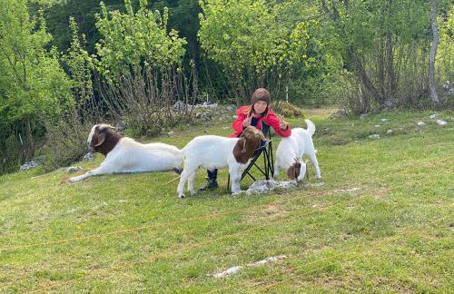 Apartment I&M - Foto 29