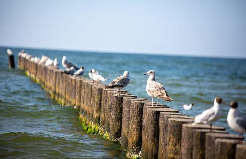 Apartament Pod Lipami - Photo 33