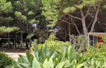 VillA LA PinetA - Foto 11