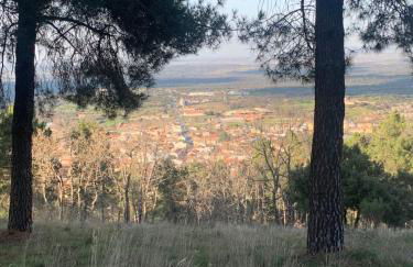 Nido Estebana - Foto 33