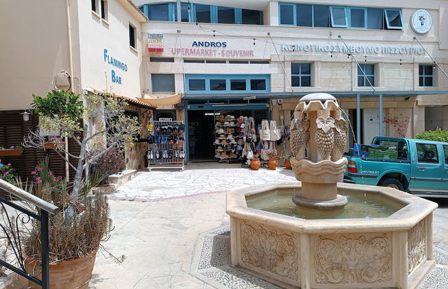 Kapsalia Holiday Villas - Foto 75