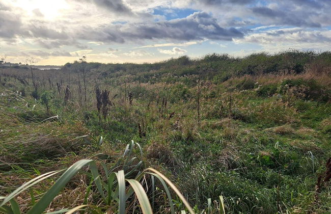 Lovely Holiday Home in Kalundborg near Sea - Foto 13