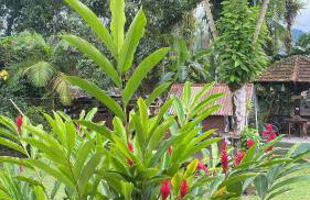 Pousada Siroba BEIRA RIO - Photo 39