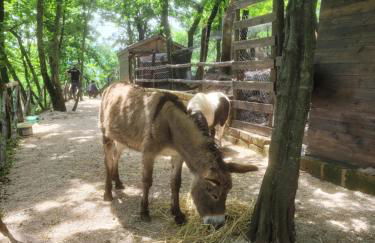 Tenuta Santo Stefano Azienda Agrituristica - Photo 27