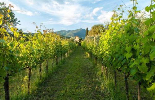 Villa Il Paradisino - Foto 55