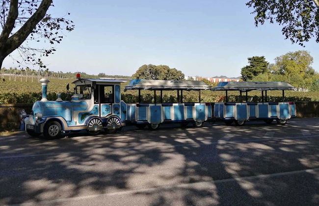 Tren turístico de Setúbal - Foto 7