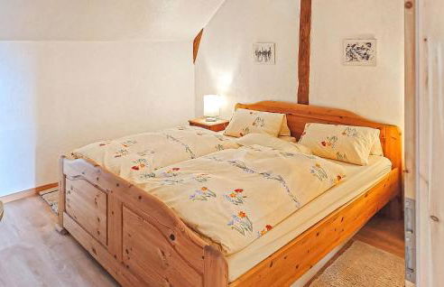 Ferienhof Dobbin - Foto 7