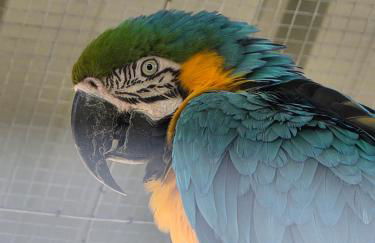 Belle Quercynoise piscine jacuzzi partagés - Foto 55