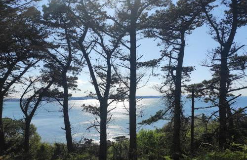 Face à la mer - Foto 29