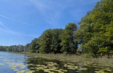 Ferienhaus am See mit Ruderboot - Foto 50