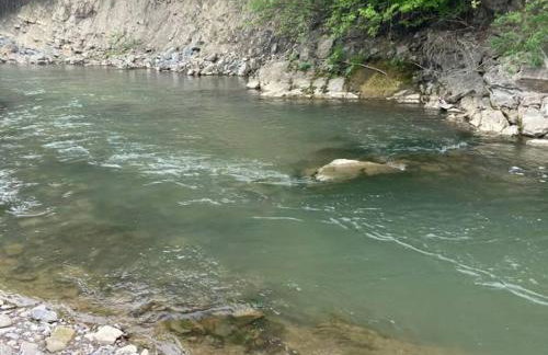 Całoroczny Domek Góry Bieszczady - Foto 22