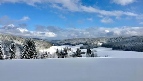 Lettwieshof Birgit und Peter Heine - Foto 5