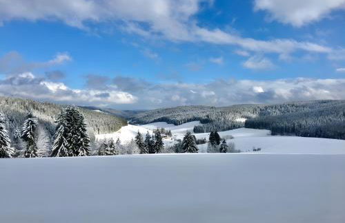 Lettwieshof Birgit und Peter Heine - Foto 5