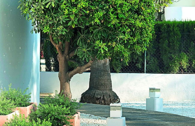 Apartamentos Sivella - Foto 31