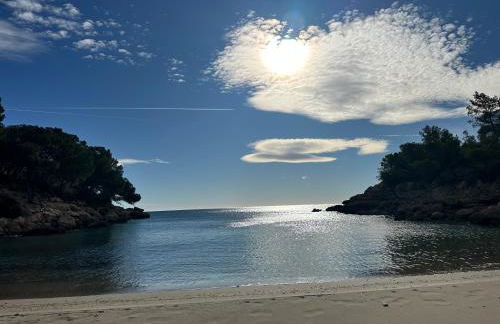 La Mandioca - Foto 4