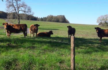 Tour des hirondelles - Foto 15