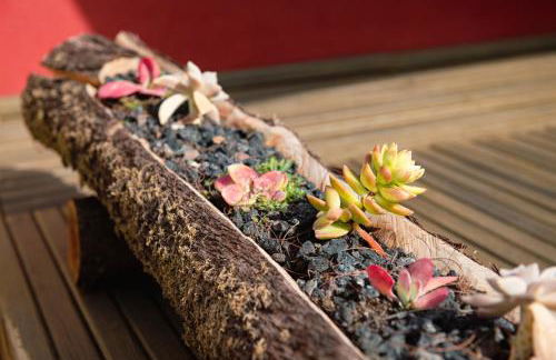 Papaya Cottage Punta del Hidalgo La Azócar - Foto 18