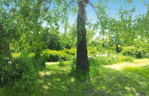 XXL Ferienhaus mit Sauna in Upost - Foto 61