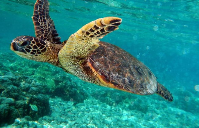 Sunny Villa, a Perfect Spacious Villa With Private Pool, Wifi & Ac in all Rooms - Foto 14