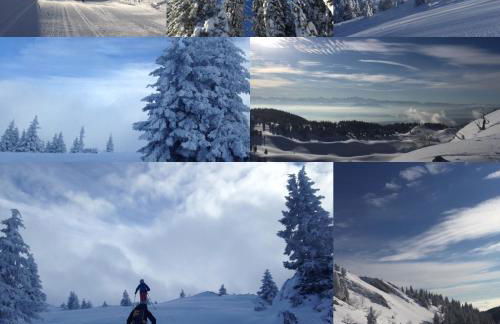 Gite Des Lacs Jumeaux - Foto 28