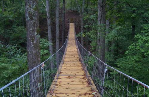 The Yellow Cottage By Tims Ford Lake - Foto 27