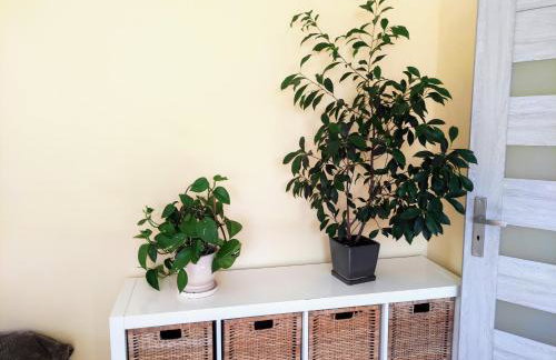 Zielony Zakątek - agroturystyka blisko morza - Foto 3