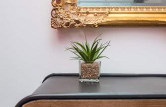 Boho Chic - Large house in the heart of Brighton! - Foto 20