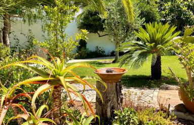 Charming Villa with Heated Pool near Sandy Beach, Hiking, Golf and Wineries - Foto 32