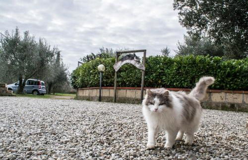 Country House Maremma Nel Tufo - Foto 19