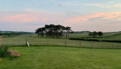 Butterfly Cabin - Foto 3