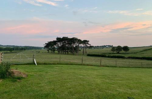 Butterfly Cabin - Foto 3