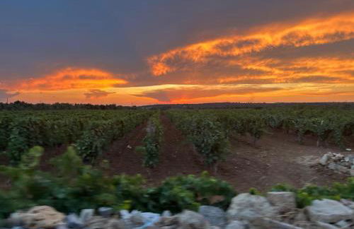 Rifugio al mare - Foto 16