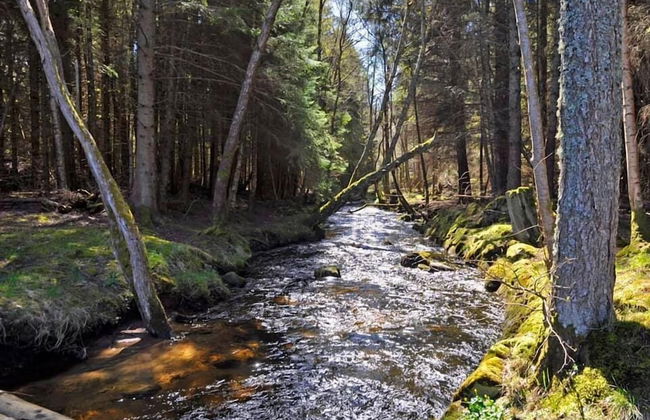 Cairngorm Bothies - Photo 30