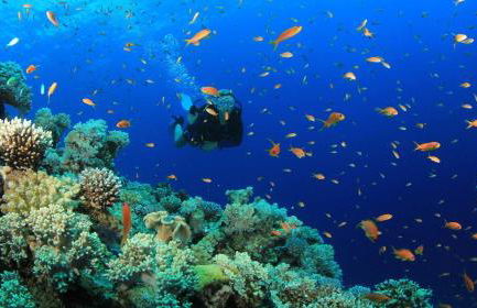 WeLive Marettimo - luxury loft - Foto 13