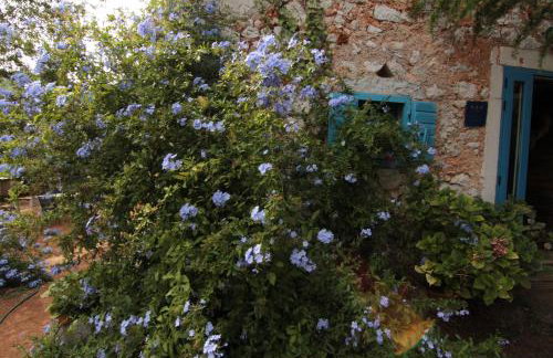 Holiday Home Botanica - Foto 10