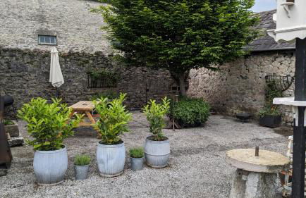 Corner Cottage at Brackenthwaite Farm - Photo 14