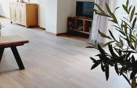 Alloggio panoramico - Foto 6