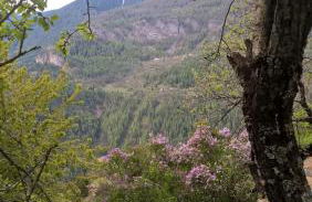 Le Seuil De Mes Reves - Foto 49