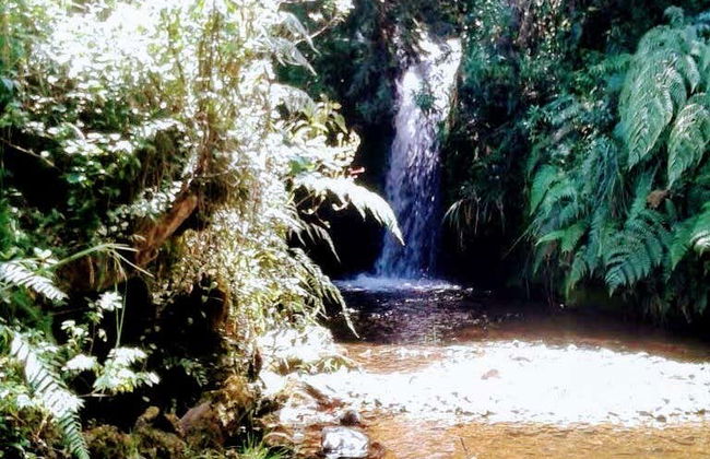 Silvia Moorland Hike - Photo 5