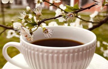 Casa Delicosta- 2 Flat Country house with garden, 15 min from Trikala - Foto 45